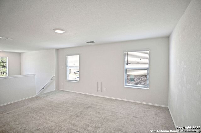 Image 24 of 45 For 884 Armadillo