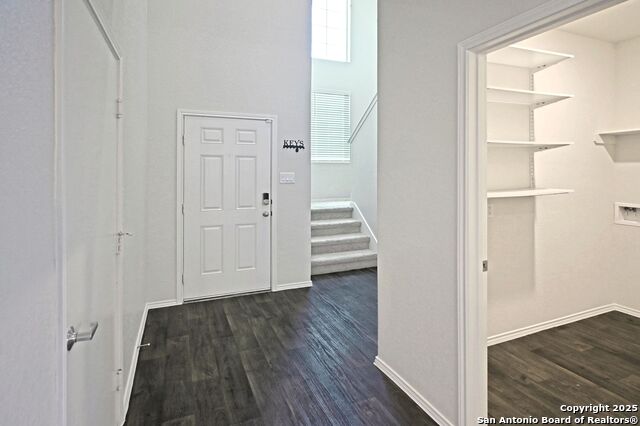 Image 3 of 45 For 884 Armadillo