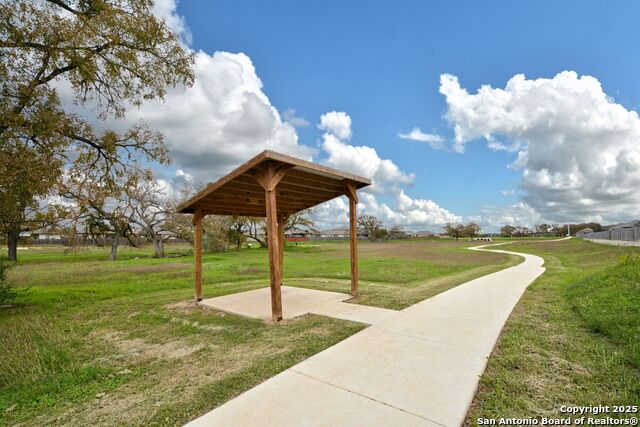 Image 39 of 45 For 884 Armadillo