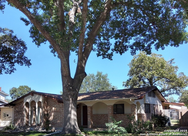 Image 2 of 21 For 10302 Grenadier