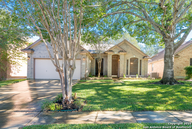 Details for 244 Turkey Tree, Cibolo, TX 78108