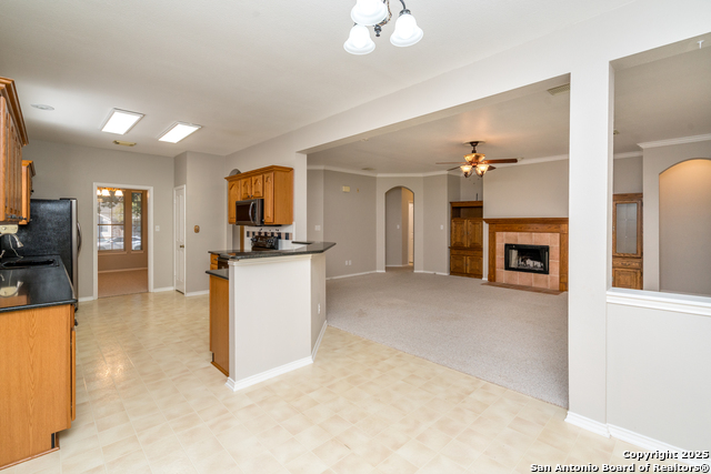 Image 11 of 48 For 244 Turkey Tree