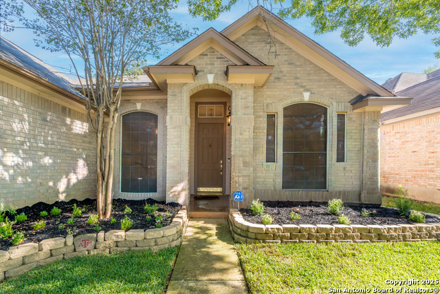 Image 2 of 48 For 244 Turkey Tree