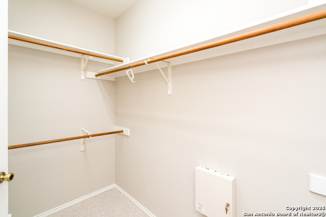 Image 27 of 48 For 244 Turkey Tree