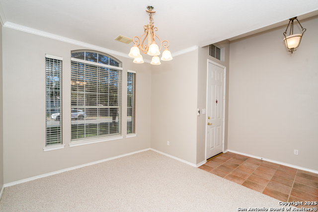 Image 3 of 48 For 244 Turkey Tree