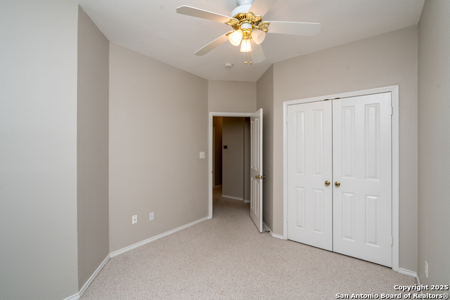 Image 38 of 48 For 244 Turkey Tree