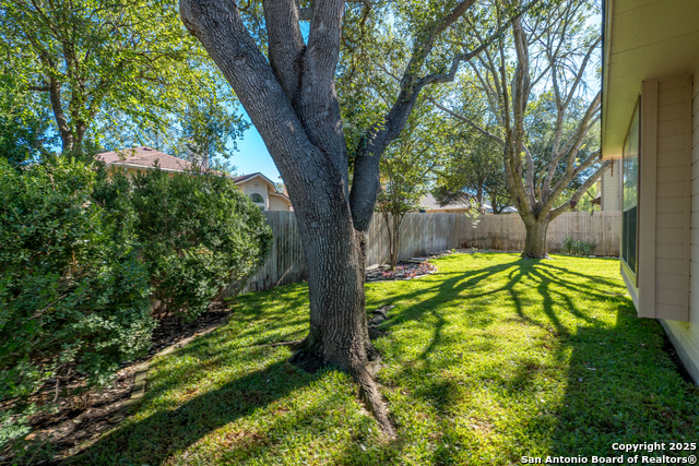 Image 41 of 48 For 244 Turkey Tree