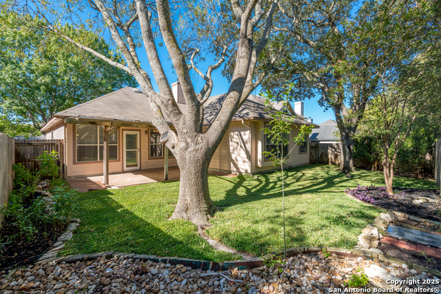 Image 44 of 48 For 244 Turkey Tree