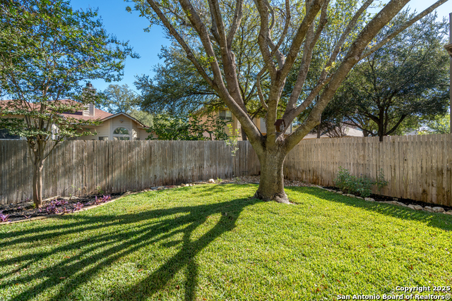 Image 46 of 48 For 244 Turkey Tree