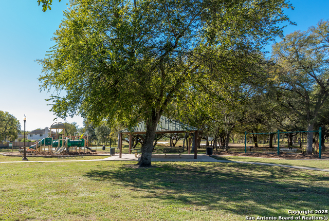 Image 47 of 48 For 244 Turkey Tree