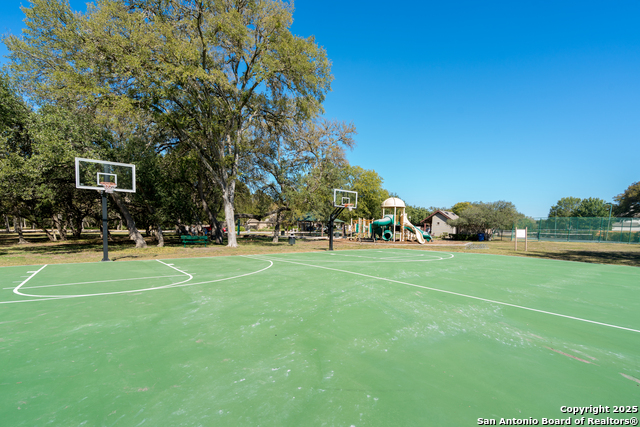 Image 48 of 48 For 244 Turkey Tree