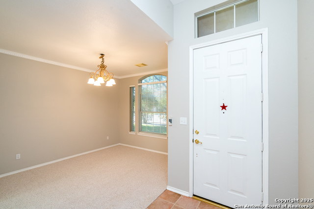 Image 5 of 48 For 244 Turkey Tree