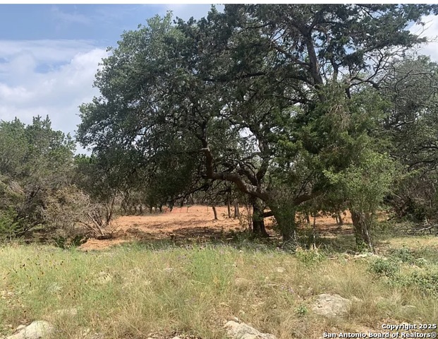 Image 23 of 23 For 1665 Sparkman