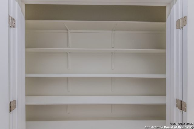 Image 17 of 38 For 635 Cactus Flower