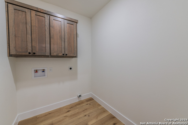 Image 18 of 38 For 635 Cactus Flower