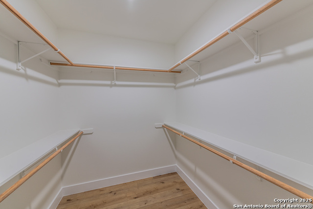 Image 28 of 38 For 635 Cactus Flower