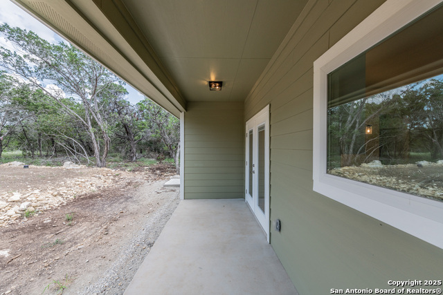 Image 36 of 38 For 635 Cactus Flower