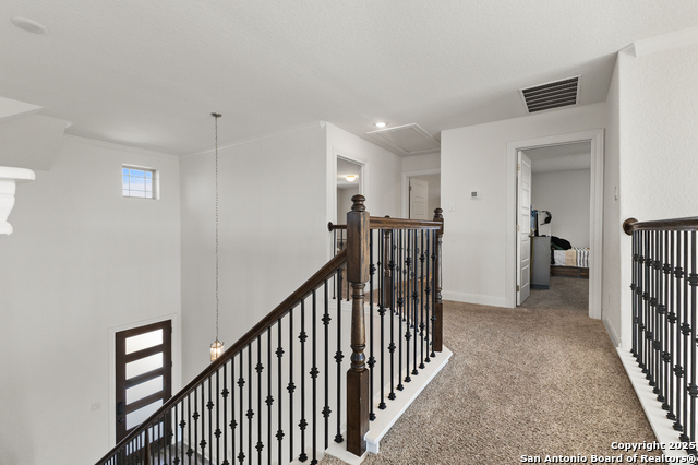 Image 27 of 34 For 109 Willow Oak