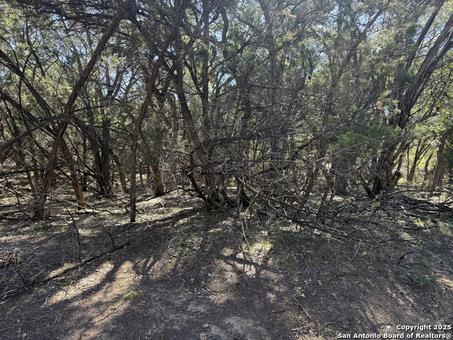 Image 6 of 10 For 267 Tejas