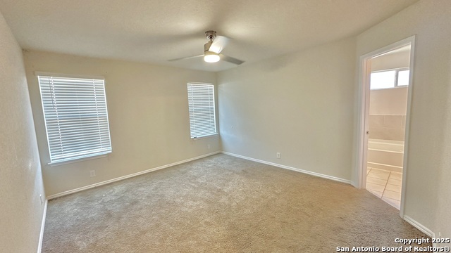 Image 7 of 11 For 8211 Falcon  