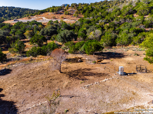 Image 24 of 39 For 309 Walnut  