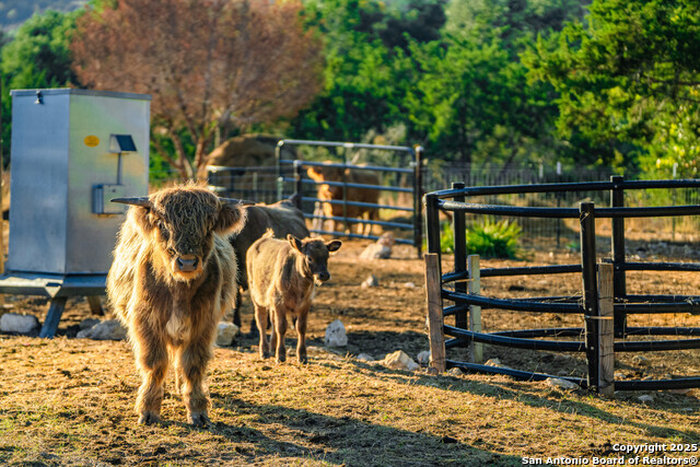 Image 26 of 39 For 309 Walnut  