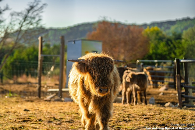 Image 29 of 39 For 309 Walnut  