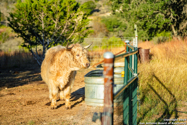 Image 31 of 39 For 309 Walnut  