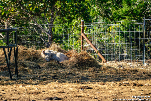 Image 34 of 39 For 309 Walnut  