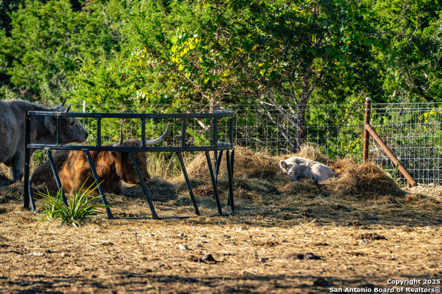 Image 35 of 39 For 309 Walnut  