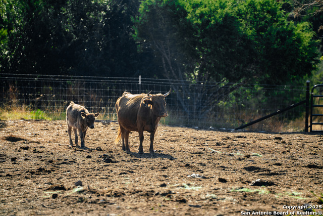 Image 38 of 39 For 309 Walnut  