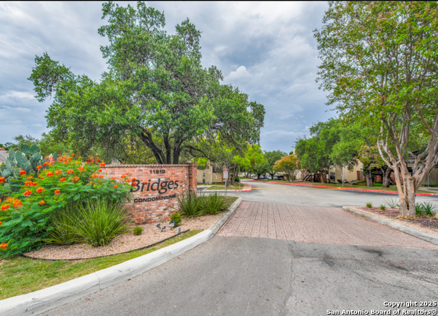 Image 2 of 9 For 11610 Vance Jackson  1105