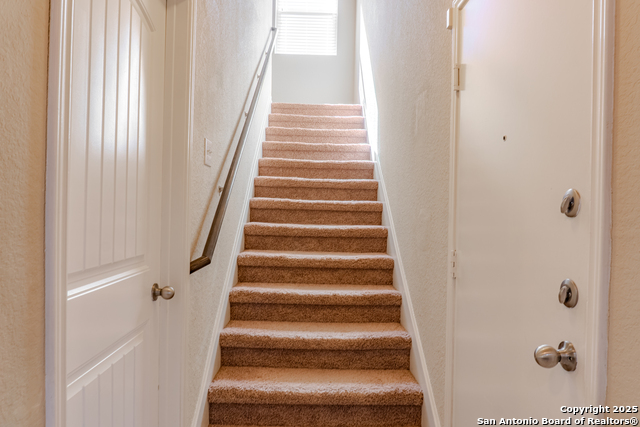 Image 13 of 18 For 12236 Bening