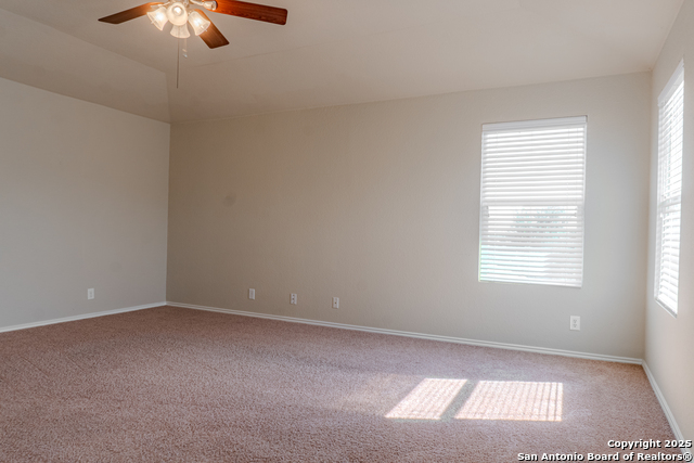 Image 14 of 18 For 12236 Bening