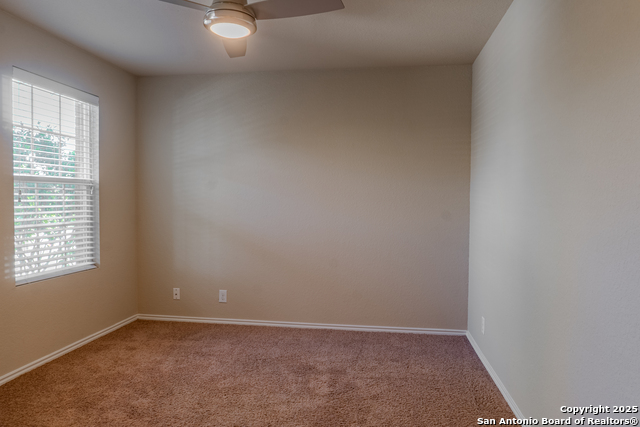 Image 16 of 18 For 12236 Bening