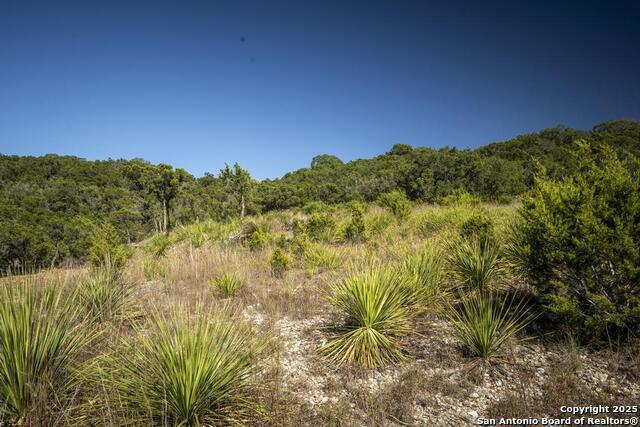 Image 17 of 37 For 29008 Cibolo Cliff