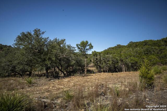 Image 19 of 37 For 29008 Cibolo Cliff