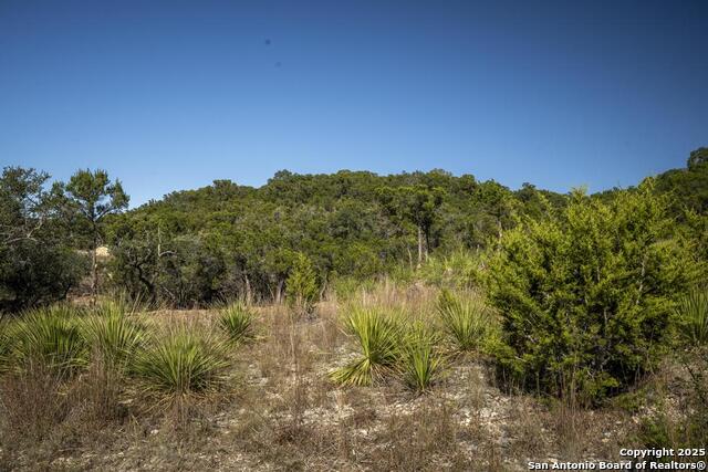 Image 32 of 37 For 29008 Cibolo Cliff