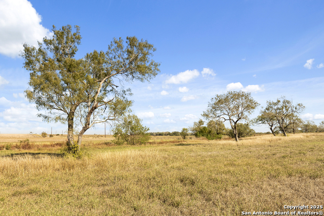 Image 3 of 11 For 1299 County Road 450