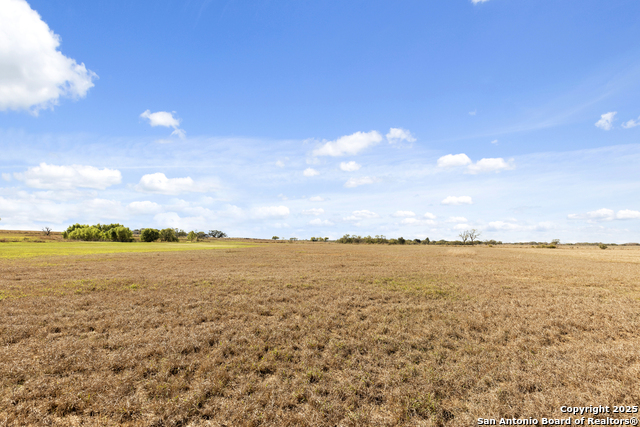 Image 5 of 11 For 1299 County Road 450