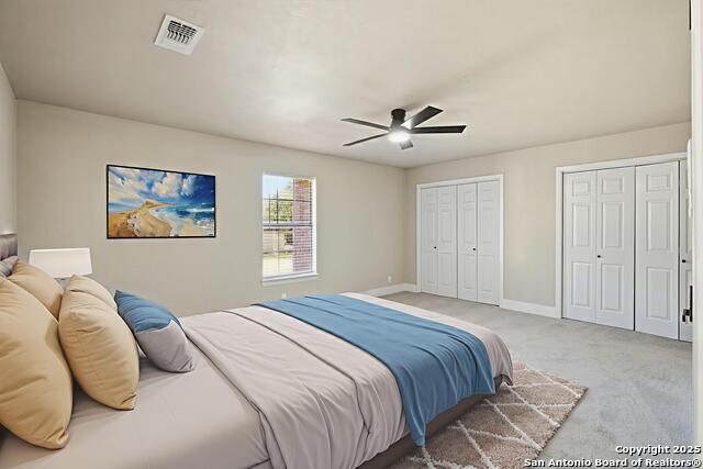 Image 25 of 36 For 8402 Timber Belt