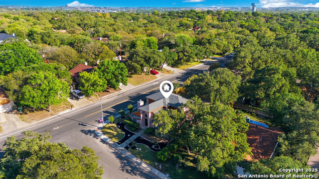 Image 31 of 36 For 8402 Timber Belt