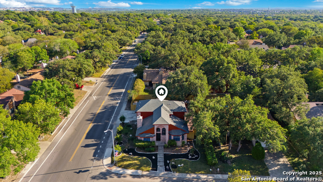 Image 32 of 36 For 8402 Timber Belt