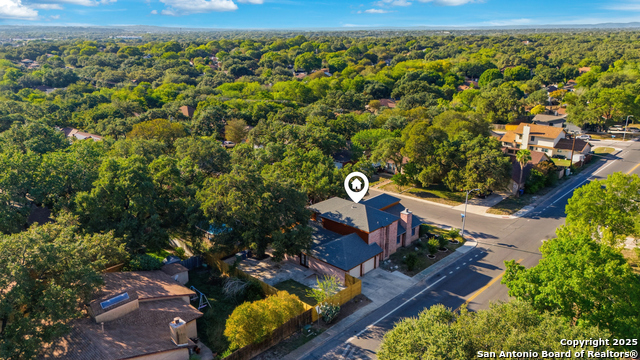 Image 34 of 36 For 8402 Timber Belt