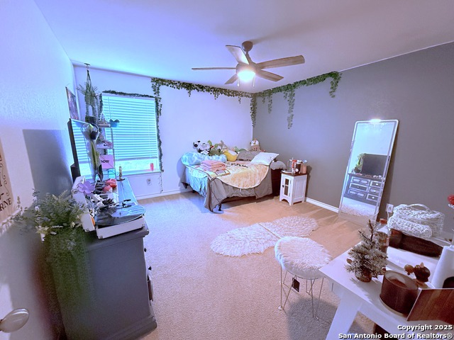 Image 10 of 13 For 12135 Treewell