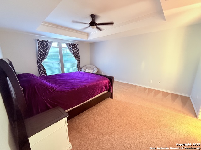 Image 8 of 13 For 12135 Treewell