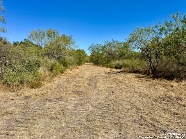 Details for 0 County Road 215, McCoy, TX 78113