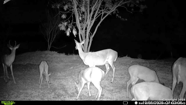 Listing photo id 8 for 0 County Road 215