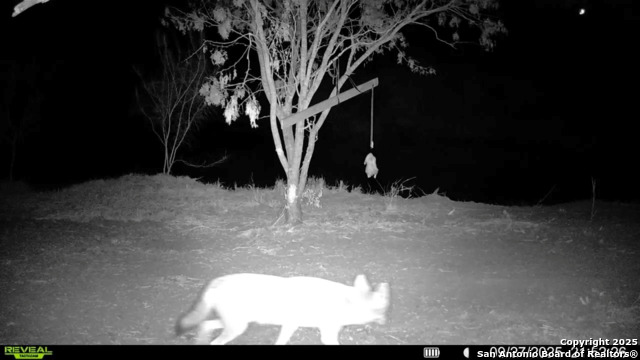 Listing photo id 9 for 0 County Road 215