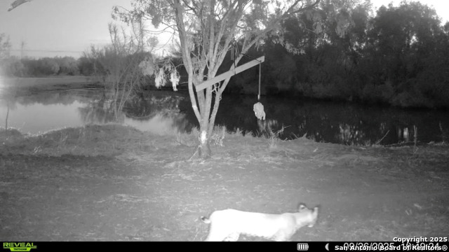 Listing photo id 10 for 0 County Road 215